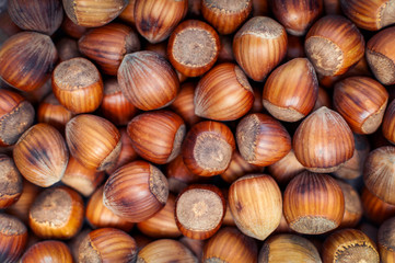 Roasted hazelnuts in a shell, top view, close-up. Seasonal vegetarian food rich of proteins.