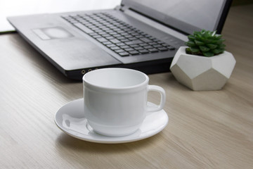 workplace with  laptop, succulent  and a mug of coffee selective focus