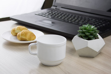workplace with  laptop, succulent  and a mug of coffee selective focus