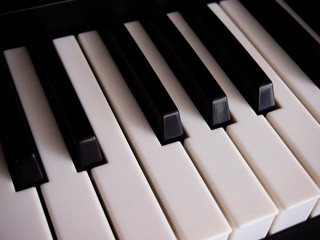 The white and black keys of a synthesizer