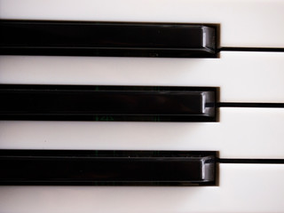 The white and black keys of a synthesizer