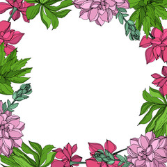 Vector Jungle botanical succulent flower. Engraved ink art illustration. Frame border ornament square.