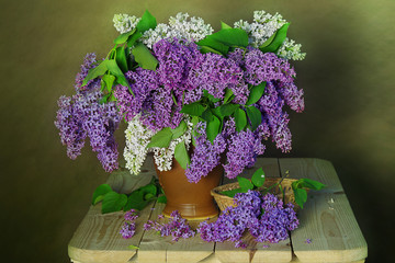 Still life with spring flowers .Still life with a bouquet of flowering lilac.