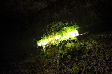 静岡県賀茂郡松崎町の室岩洞内です。かつて「伊豆石」を採掘していた坑道です。 千石船で運搬していた為、海側に通じており、安城岬や大鐘山、松崎新港が望めます。天気が良ければ、駿河湾から富士山も望めます。