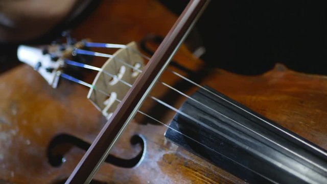 beautiful young girl playing the violin during the concert.close-up