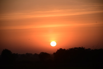 Sunrise