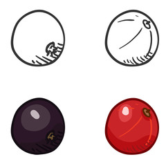 Vector Set of Sketch and Cartoon Berry Illustrations. Black and Red Currant
