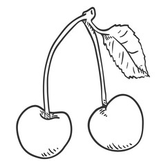 Vector Sketch Illustration - Two Cherries on a Branch with Leaf