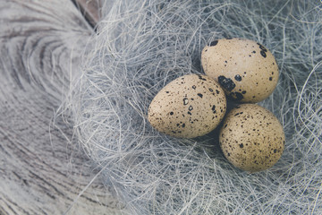 Easter decoration. Quail eggs in a nest on a wooden background