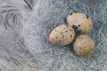 Easter decoration. Quail eggs in a nest on a wooden background