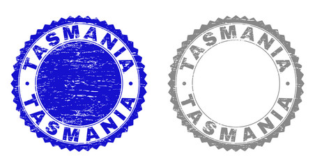 Grunge TASMANIA stamps isolated on a white background. Rosette seals with grunge texture in blue and gray colors. Vector rubber stamp imprint of TASMANIA text inside round rosette.