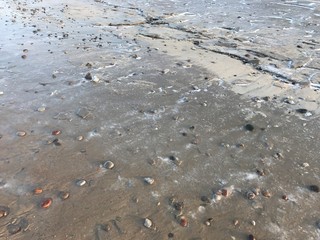 Frozen seashore of Baltic sea near Zelenogradsk, Russia