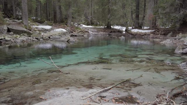Woods with snow and stream with crystalline water static clip 4k Sony a6300 25p S-Log2