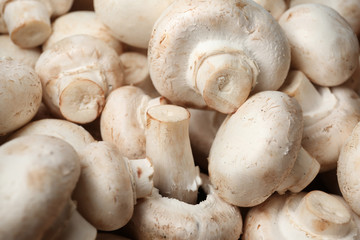 Fresh champignon mushrooms as background. Healthy food
