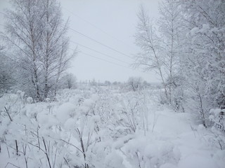 Obraz premium Белым бело.