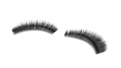 Beautiful pair of false eyelashes on white background
