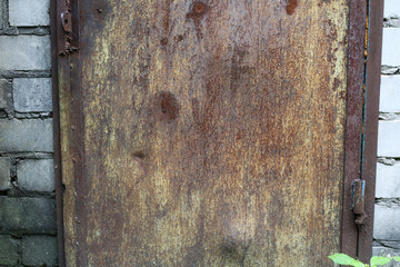 Old rusty doors background texture.