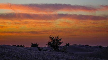 Colorful sunset in Dubai Desert