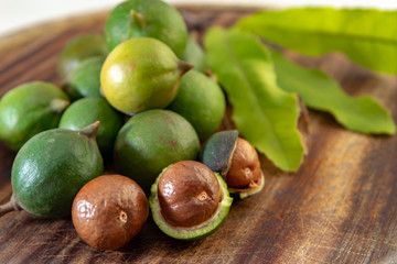 New harvest of ripe fresh Australian macadamia nuts in shell with leaves