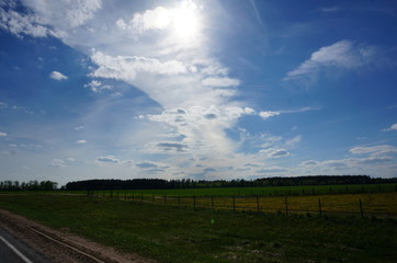 Obraz premium field and blue sky