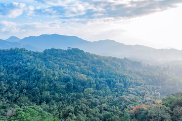 Beautiful view on Sri-lanka landscape