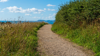 Sand footpath through green vegetation leading towards the sea against a blue sky with white clouds on a sunny summer day. Irish landscape in Howth, Dublin, Ireland.