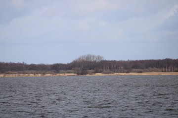 lake in winter