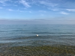 blue sky above the sea with clouds and sun in Odessa, Ukraine