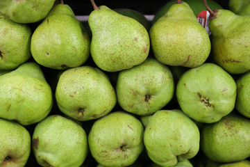 green fresh pears