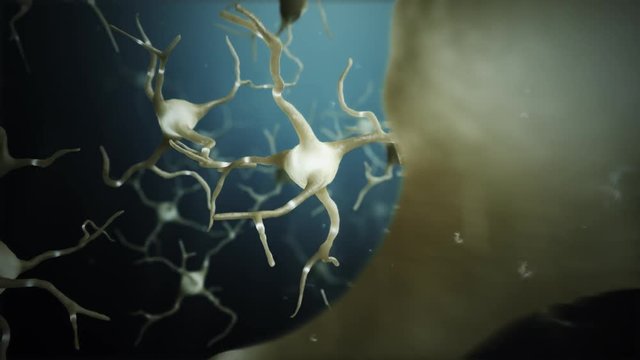 Loop Neuron cells connections world