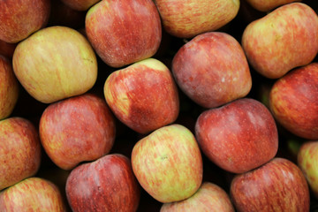 red fresh apples 