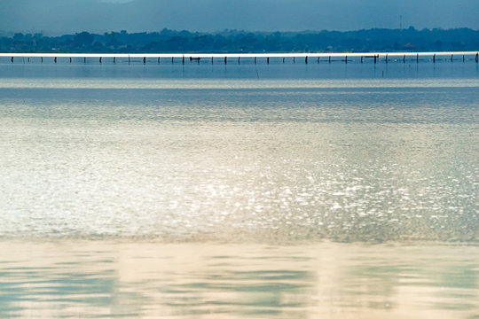 Close up at the lake of Phayao province, North of Thailand.