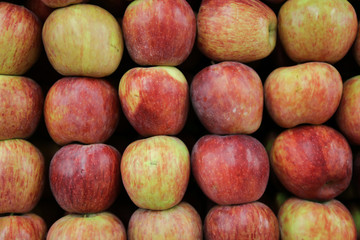 red fresh apples 