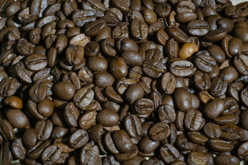 coffee beans background