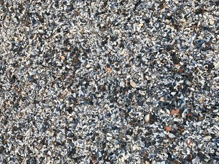 Small pebbles on a beach in Odessa, Ukraine