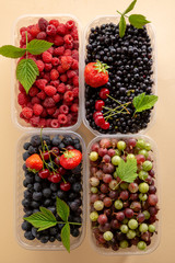 Fresh berry mix in box