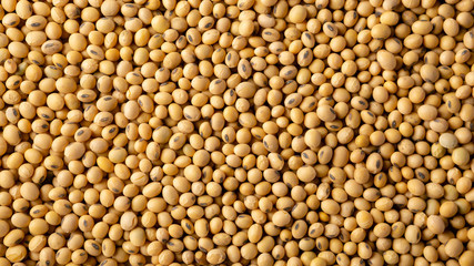 Food soy background