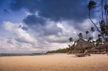 Caribbean beach with golden sand with storm clouds and wind on the leaves of palm trees