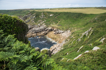 Küste Cornwalls