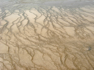 Mammoth Hot Springs in Yellowstone