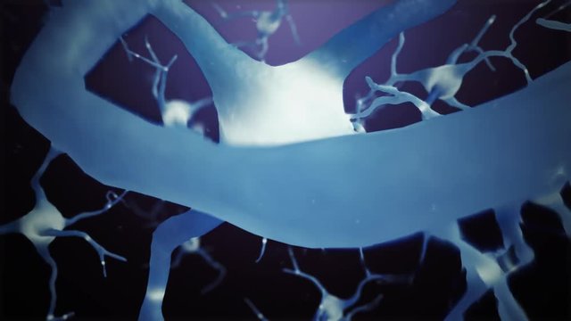 Loop Neuron cells connections world