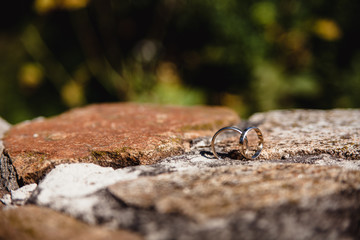 Wedding rings on a granite rock in the forest