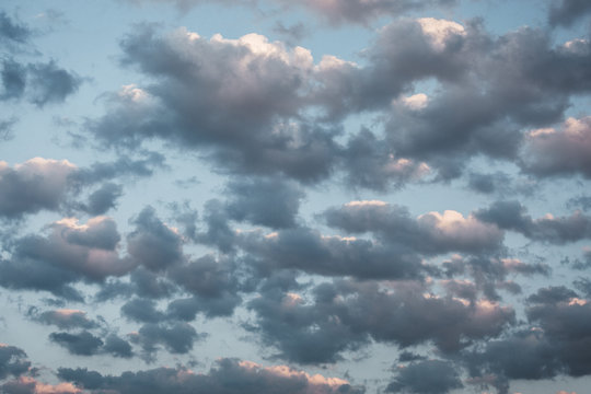 A stratocumulus cloud belongs to a genus-type of clouds characterized by large dark, rounded masses, usually in groups, the individual elements being larger than those in altocumulus, Evening time.