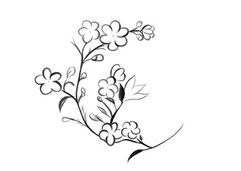 spring flowers one line illustration