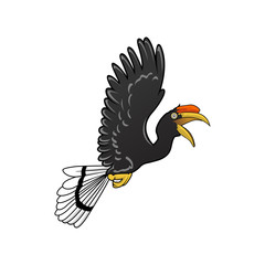 hornbill bird Flying