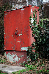 Red electrical switch box covered with ivy vines
