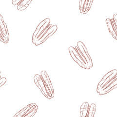 Hand drawn nuts.  Pecan.  Vector  seamless pattern