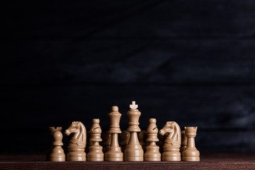 Chess board with chess pieces. Chess on the dark background. Business success concept. Strategy....