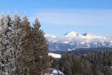 MONTAGNE - LE MONT REVARD SOUS LA NEIGE - MASSIF DES BAUGES - SAVOIE