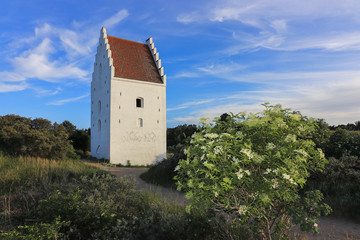 beautiful dunes landscape with silted church in Skagen